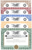 Set of 20 Custom Printed ASSOCIATION Certificates & Stub Sheets (FLL 102 Template)